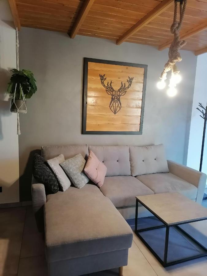 Apartament Jelen Appartement Złotów Buitenkant foto