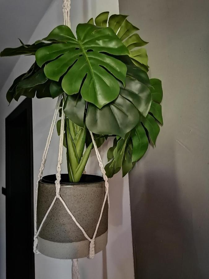 Apartament Jelen Appartement Złotów Buitenkant foto